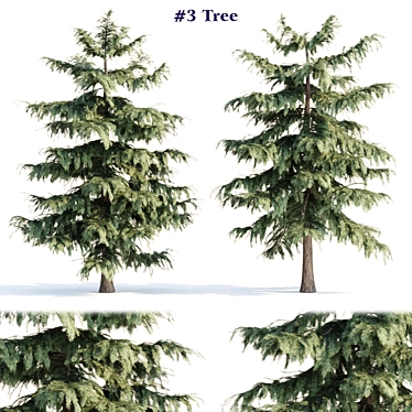 PBR Pine Trees Collection Vol.107 3D model image 1 