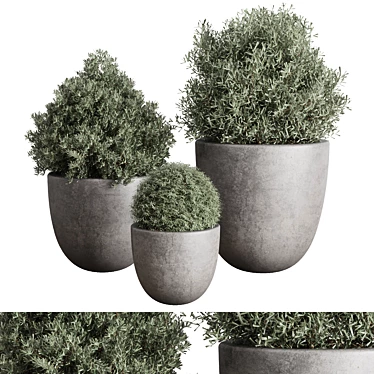 Concrete Vase Tree Plant Collection 3D model image 1 