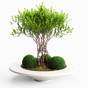 Versatile Concrete Planter - Besso 3D model image 1 