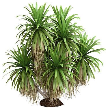 Botanical Oasis Plant Collection 3D model image 1 