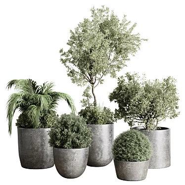 Collection Outdoor Indoor plant 109 concrete dirt vase pot tree