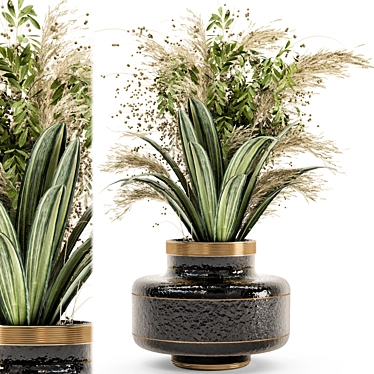 Glass Pots Indoor Plants Collection 3D model image 1 