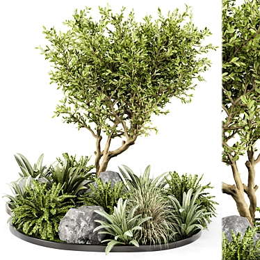 Outdoor Garden 3D Tree Set 3D model image 1 