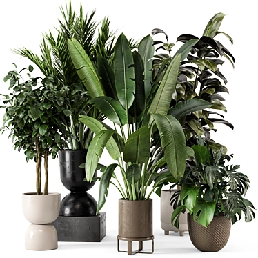 Stylish Indoor Plants Set 783 3D model image 1 