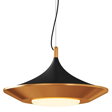 Modern D 50 cm Pendant 3D model image 1 