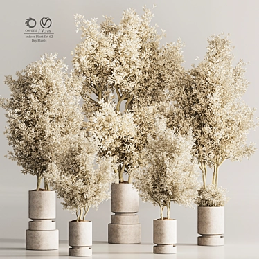 62-Piece Indoor Dry Plant Set 3D model image 1 