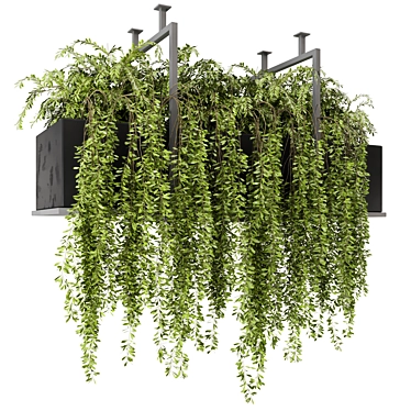 Metal Box Hanging Plants Set 3D model image 1 