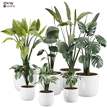  2015 Version 3D Plant Model 3D model image 1 