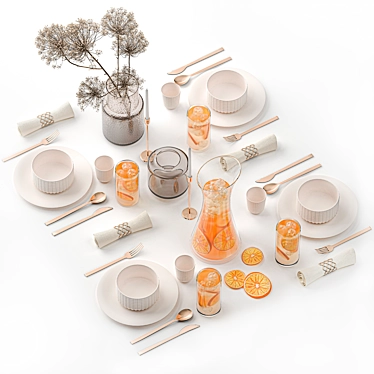 Eco Citrus Table Setting Kit 3D model image 1 