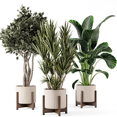 Modern Indoor Plants Set 799 3D model image 1 