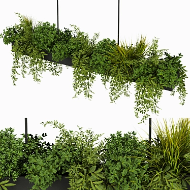 Leafy Indoor Hanging Plant 3D model image 1 