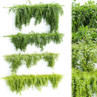  Hanging Wall Plants Vol. 109 3D model image 1 