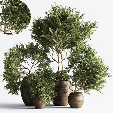 Modern Indoor Plant 2015 Display 3D model image 1 