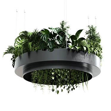 Metal Hanging Plant Collection 3Dmax 3D model image 1 