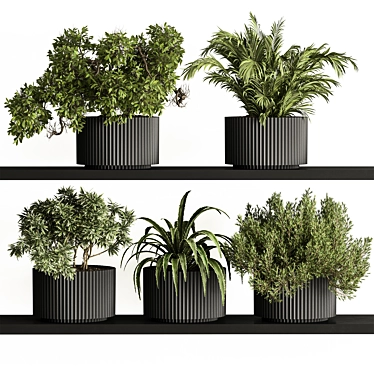 Mini Plant Pot Set 403 3D model image 1 