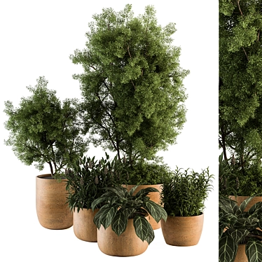 Outdoor Plant Set with Vray 3D model image 1 