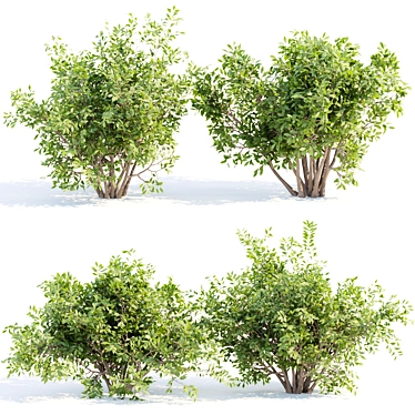 Bushes #4 Volume 110 Collection 3D model image 1 