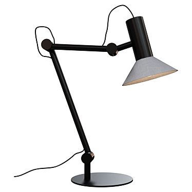 Wever Ducré Desk Lamp Metal 3D model image 1 