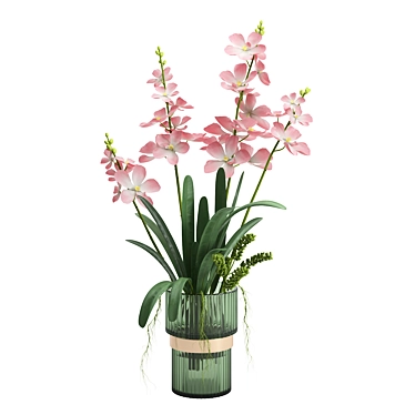 Orchid Indoor Plant Set Max 2013 3D model image 1 