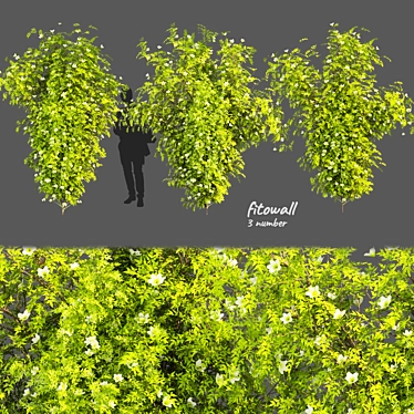 Outdoor Bush Leaf Collection Plant 3D model image 1 