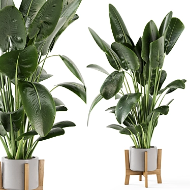 Modern Indoor Plant Set 826 3D model image 1 