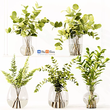 Premium Indoor Plants Model Collection 3D model image 1 