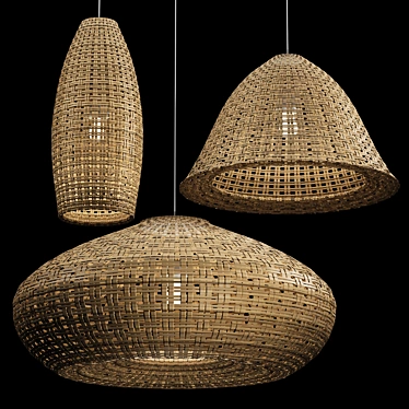 Rattan Pendant Light Trio 3D model image 1 