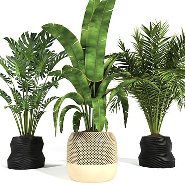 Tropical Plants 3D Model Pack 3D model image 1 