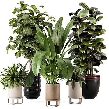  Stylish Indoor Plants Set 844 3D model image 1 