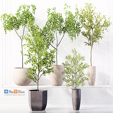 High-Quality Collection of Indoor Plants 3D model image 1 