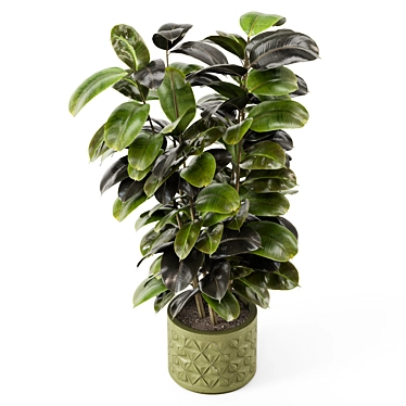 Rusty Concrete Pot Indoor Plants 3D model image 1 