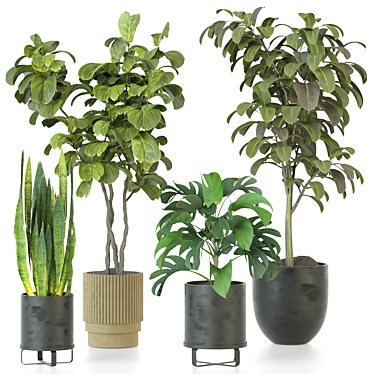 Modern Indoor Plant Collection Kit 3D model image 1 