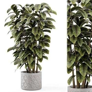 Rusty Concrete Pot Indoor Plants 3D model image 1 