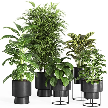 Modern Indoor Plant Set 028 3D model image 1 