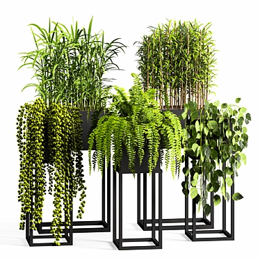  Indoor Plant Set05 - 3D Models 3D model image 1 