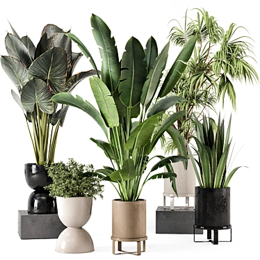 Stylish Indoor Plants Set 861 3D model image 1 