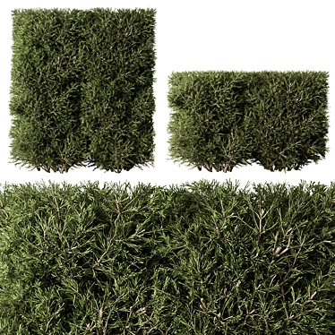 Needle Bushing Set 81 3D model image 1 