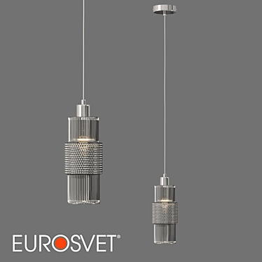 Eurosvet Chrome Glass Pendant Light 3D model image 1 