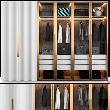 ELEGANT DECORATIVE ELEMENTS WARDROBE 3D model image 1 