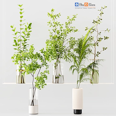 Premium Indoor Plants Collection 3D 3D model image 1 