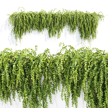 Modern Hanging Wall Plants Collection 3D model image 1 