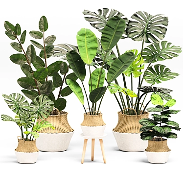 Greenery Essence 3D Indoor Plant 3D model image 1 