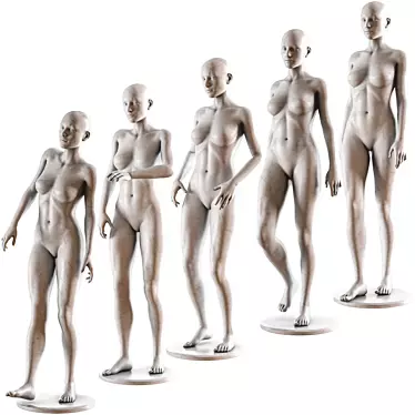 Mannequin Collection Vol. 02: Low-Poly 3D model image 1 