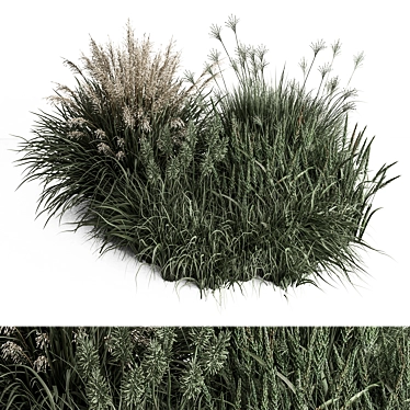 Assorted Bush Variety Collection 94 3D model image 1 