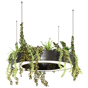 Assorted Hanging Plant Set 3D model image 1 