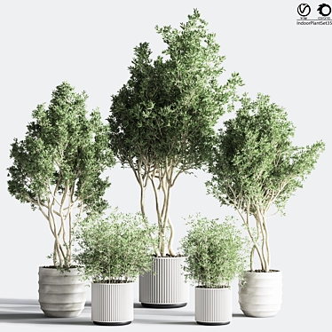 Botanical Modern Indoor Plant Set 3D model image 1 