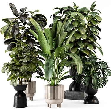 Stylish Indoor Plants Set 919 3D model image 1 