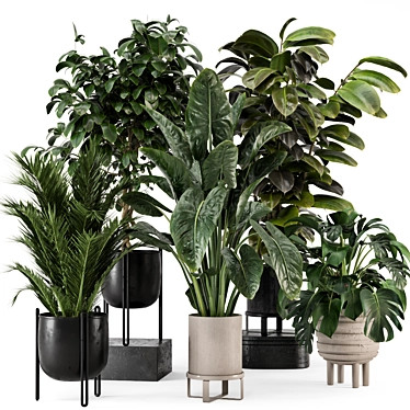 Modern Indoor Plants Set 920 3D model image 1 