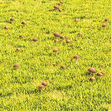 Grass & Mushroom Lawn 3D Model 3D model image 1 