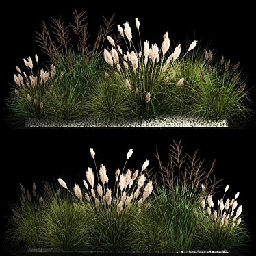 Assorted Ornamental Grass Collection 3D model image 1 